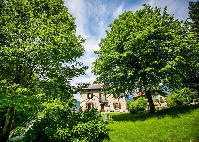 Piazzaga565