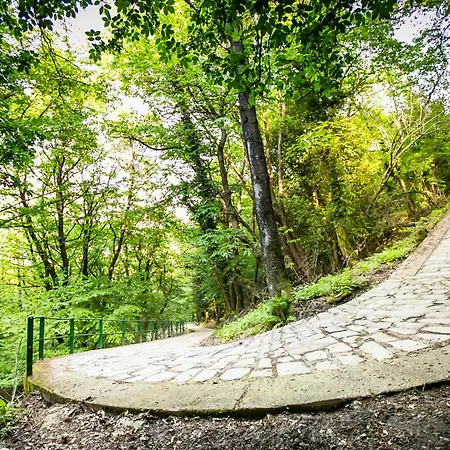 Piazzaga565 山林小屋 托尔诺