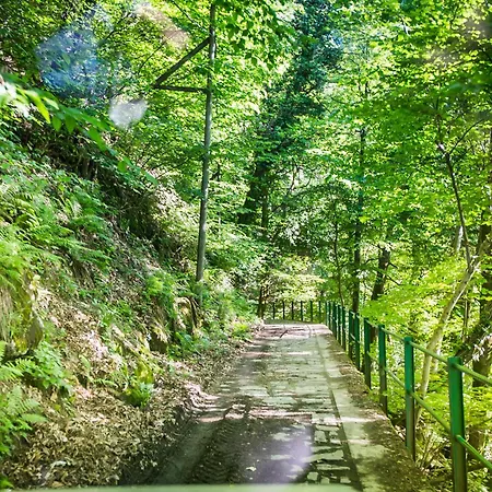 山林小屋 Piazzaga565